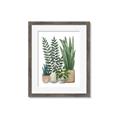 Picture of Plant Party I  _GroupedProduct_Rectangle_Portrait_Framed_Matted_