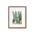 Picture of Plant Party I  _GroupedProduct_Rectangle_Portrait_Framed_Matted_