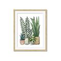 Picture of Plant Party I  _GroupedProduct_Rectangle_Portrait_Framed_Matted_