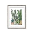 Picture of Plant Party I  _GroupedProduct_Rectangle_Portrait_Framed_Matted_