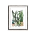 Picture of Plant Party I  _GroupedProduct_Rectangle_Portrait_Framed_Matted_