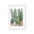 Picture of Plant Party I  _GroupedProduct_Rectangle_Portrait_Framed_Matted_