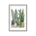 Picture of Plant Party I  _GroupedProduct_Rectangle_Portrait_Framed_Matted_