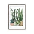 Picture of Plant Party I  _GroupedProduct_Rectangle_Portrait_Framed_Matted_