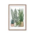 Picture of Plant Party I  _GroupedProduct_Rectangle_Portrait_Framed_Matted_