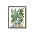 Picture of Plant Party II  _GroupedProduct_Rectangle_Portrait_Framed_Matted_