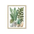 Picture of Plant Party II  _GroupedProduct_Rectangle_Portrait_Framed_Matted_