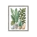 Picture of Plant Party II  _GroupedProduct_Rectangle_Portrait_Framed_Matted_
