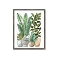 Picture of Plant Party II  _GroupedProduct_Rectangle_Portrait_Framed_Matted_