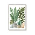 Picture of Plant Party II  _GroupedProduct_Rectangle_Portrait_Framed_Matted_