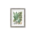Picture of Plant Party II  _GroupedProduct_Rectangle_Portrait_Framed_Matted_