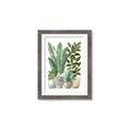 Picture of Plant Party II  _GroupedProduct_Rectangle_Portrait_Framed_Matted_