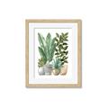Picture of Plant Party II  _GroupedProduct_Rectangle_Portrait_Framed_Matted_