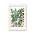 Picture of Plant Party II  _GroupedProduct_Rectangle_Portrait_Framed_Matted_