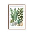Picture of Plant Party II  _GroupedProduct_Rectangle_Portrait_Framed_Matted_