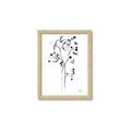 Picture of Branches Drawing _GroupedProduct_Rectangle_Portrait_Framed_Matted_