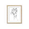 Picture of Branches Drawing _GroupedProduct_Rectangle_Portrait_Framed_Matted_