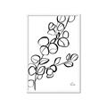 Picture of Leaves Drawing  _GroupedProduct_Rectangle_Portrait_Framed_Matted_