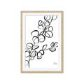 Picture of Leaves Drawing  _GroupedProduct_Rectangle_Portrait_Framed_Matted_