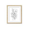 Picture of Flower Drawing _GroupedProduct_Rectangle_Portrait_Framed_Matted_