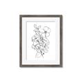 Picture of Flower Drawing _GroupedProduct_Rectangle_Portrait_Framed_Matted_