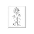 Picture of Single Hydrangea Drawing _GroupedProduct_Rectangle_Portrait_Framed_Matted_