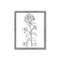 Picture of Single Hydrangea Drawing _GroupedProduct_Rectangle_Portrait_Framed_Matted_
