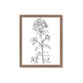 Picture of Single Hydrangea Drawing _GroupedProduct_Rectangle_Portrait_Framed_Matted_