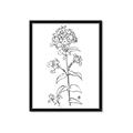 Picture of Single Hydrangea Drawing _GroupedProduct_Rectangle_Portrait_Framed_Matted_