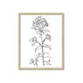 Picture of Single Hydrangea Drawing _GroupedProduct_Rectangle_Portrait_Framed_Matted_