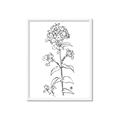 Picture of Single Hydrangea Drawing _GroupedProduct_Rectangle_Portrait_Framed_Matted_