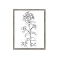 Picture of Single Hydrangea Drawing _GroupedProduct_Rectangle_Portrait_Framed_Matted_