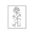 Picture of Single Hydrangea Drawing _GroupedProduct_Rectangle_Portrait_Framed_Matted_