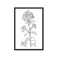 Picture of Single Hydrangea Drawing _GroupedProduct_Rectangle_Portrait_Framed_Matted_