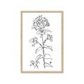 Picture of Single Hydrangea Drawing _GroupedProduct_Rectangle_Portrait_Framed_Matted_