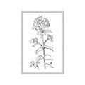 Picture of Single Hydrangea Drawing _GroupedProduct_Rectangle_Portrait_Framed_Matted_