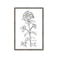 Picture of Single Hydrangea Drawing _GroupedProduct_Rectangle_Portrait_Framed_Matted_
