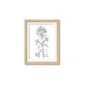 Picture of Single Hydrangea Drawing _GroupedProduct_Rectangle_Portrait_Framed_Matted_