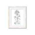 Picture of Single Hydrangea Drawing _GroupedProduct_Rectangle_Portrait_Framed_Matted_