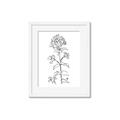 Picture of Single Hydrangea Drawing _GroupedProduct_Rectangle_Portrait_Framed_Matted_
