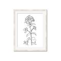Picture of Single Hydrangea Drawing _GroupedProduct_Rectangle_Portrait_Framed_Matted_