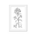 Picture of Single Hydrangea Drawing _GroupedProduct_Rectangle_Portrait_Framed_Matted_