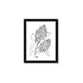 Picture of Panicle Hydrangea Drawing _GroupedProduct_Rectangle_Portrait_Framed_Matted_