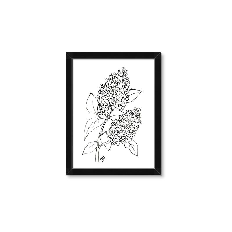 Picture of Panicle Hydrangea Drawing _GroupedProduct_Rectangle_Portrait_Framed_Matted_
