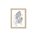 Picture of Panicle Hydrangea Drawing _GroupedProduct_Rectangle_Portrait_Framed_Matted_