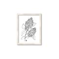 Picture of Panicle Hydrangea Drawing _GroupedProduct_Rectangle_Portrait_Framed_Matted_
