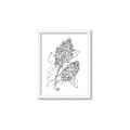 Picture of Panicle Hydrangea Drawing _GroupedProduct_Rectangle_Portrait_Framed_Matted_