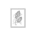 Picture of Panicle Hydrangea Drawing _GroupedProduct_Rectangle_Portrait_Framed_Matted_