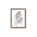 Picture of Panicle Hydrangea Drawing _GroupedProduct_Rectangle_Portrait_Framed_Matted_