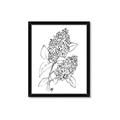 Picture of Panicle Hydrangea Drawing _GroupedProduct_Rectangle_Portrait_Framed_Matted_